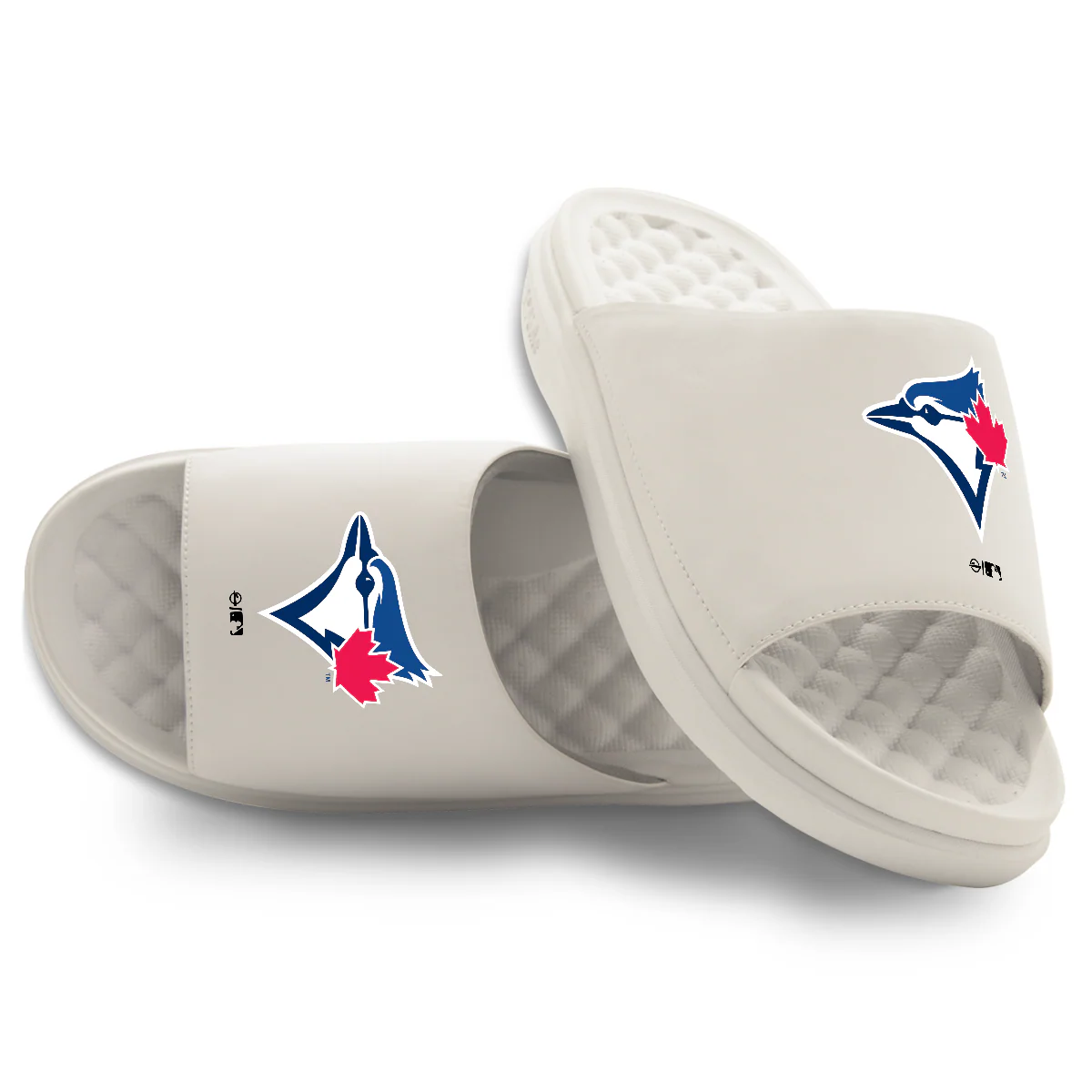 Toronto Blue Jays Primary Motive Slides - Image 16