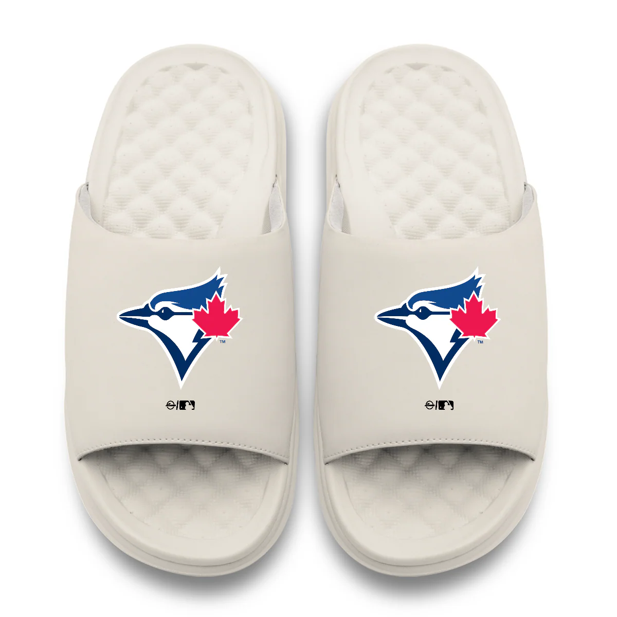 Toronto Blue Jays Primary Motive Slides - Image 17