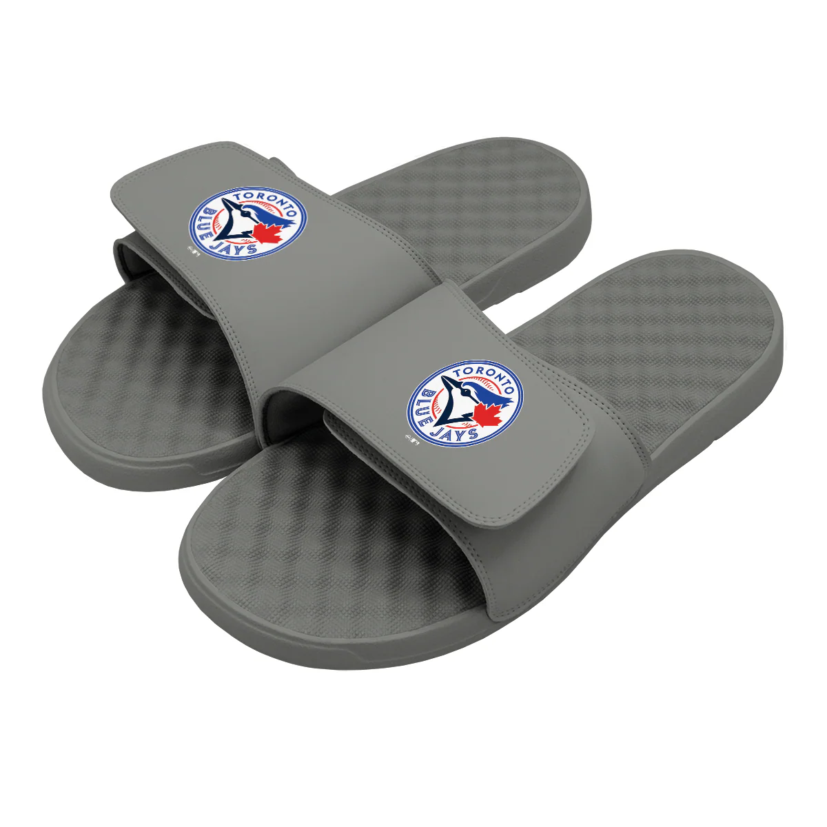 Toronto Blue Jays Primary Slides - Image 2