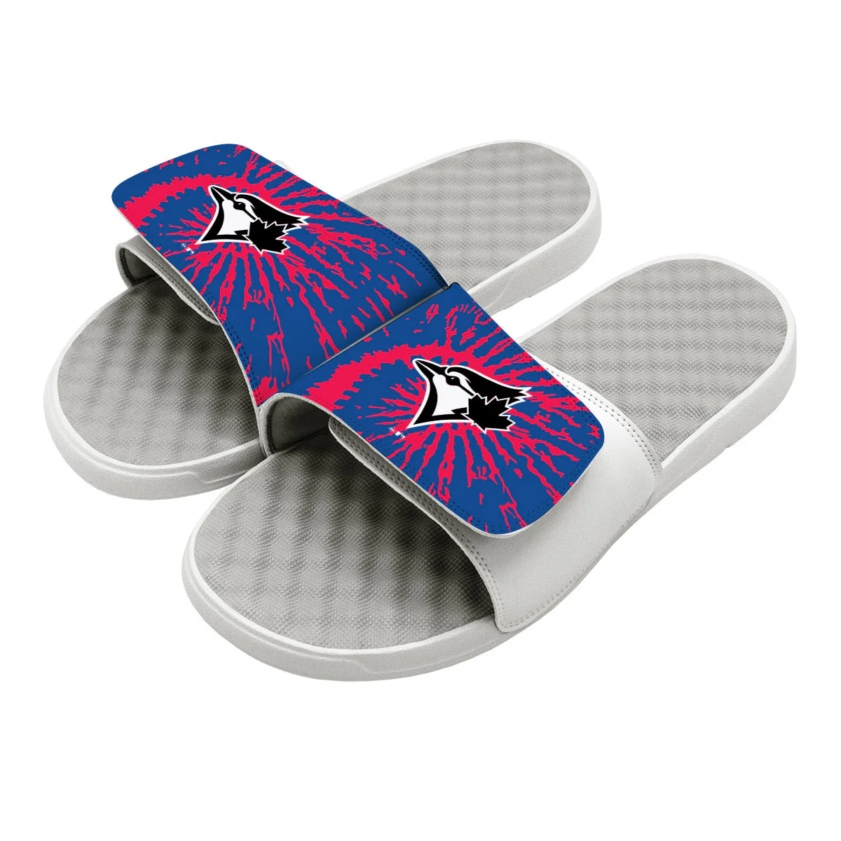 Toronto Blue Jays Slides - Image 2