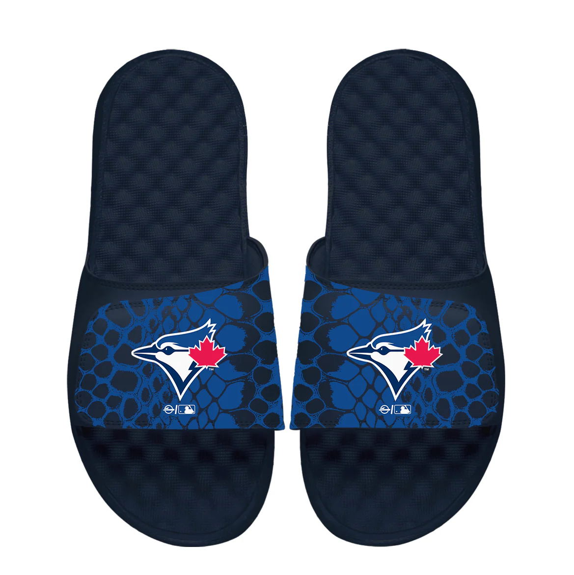 Toronto Blue Jays Year of the Snake Slides