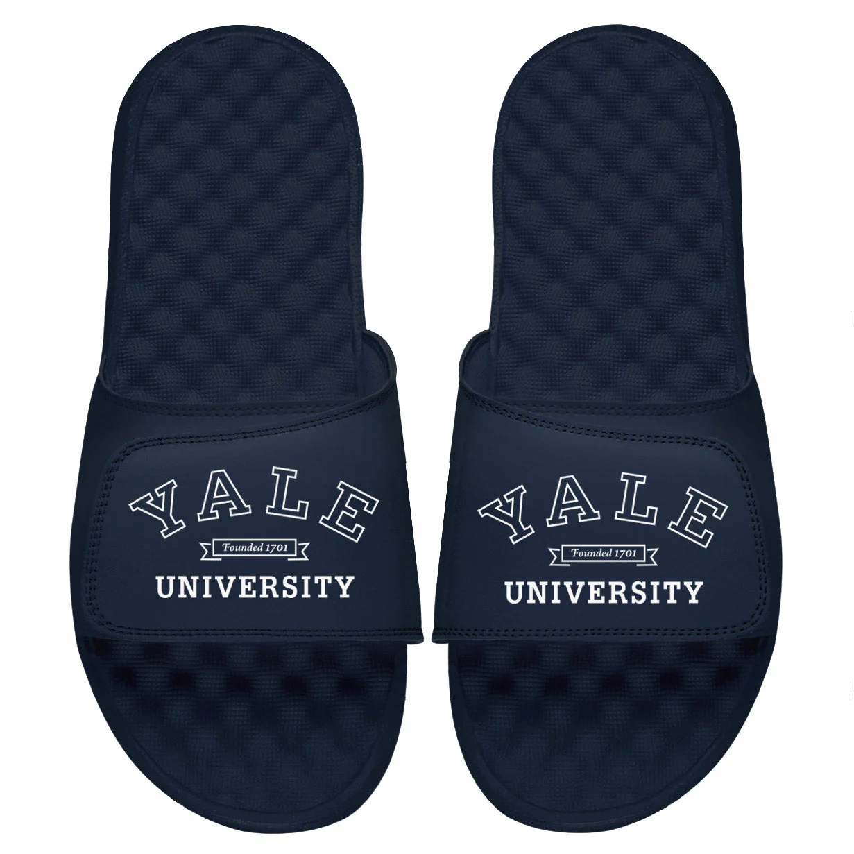 Yale Banner Slides